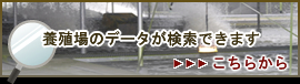 rf[^͂炩